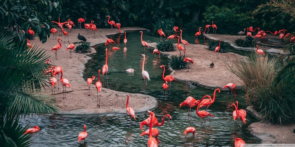 Bucket list of 10 magical escape spots within a 300-kilometer radius of New Delhi, the capital city. 10 Sultanpur Bird Sanctuary Bucket list of 10 magical escape spots within a 300-kilometer radius of New Delhi, the capital city.