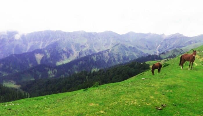 Unveiling the Enchanting and Unexplored Snowy Mountain Valleys of Jammu: Hidden Gems Awaiting Discovery 14 dessa valley1 Unveiling the Enchanting and Unexplored Snowy Mountain Valleys of Jammu: Hidden Gems Awaiting Discovery